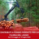 CONTRIBUTI A FONDO PERDUTO PER LA FILIERA DEL LEGNO