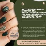 𝐁𝐄𝐍𝐄𝐒𝐒𝐄𝐑𝐄- 𝐌𝐎𝐃𝐈𝐅𝐈𝐂𝐀 𝐃𝐄𝐋 𝐑𝐄𝐆𝐎𝐋𝐀𝐌𝐄𝐍𝐓𝐎 𝐄𝐔𝐑𝐎𝐏𝐄𝐎 𝐏𝐄𝐑 𝐋𝐀 𝐂𝐋𝐀𝐒𝐒𝐈𝐅𝐈𝐂𝐀𝐙𝐈𝐎𝐍𝐄 𝐄 𝐋’𝐄𝐓𝐈𝐂𝐇𝐄𝐓𝐓𝐀𝐓𝐔𝐑𝐀 𝐃𝐈 𝐀𝐋𝐂𝐔𝐍𝐄 𝐒𝐎𝐒𝐓𝐀𝐍𝐙𝐄